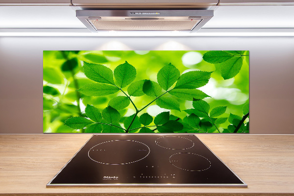 Glazen achterwand keuken Groene bladeren