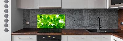 Glazen achterwand keuken Groene bladeren