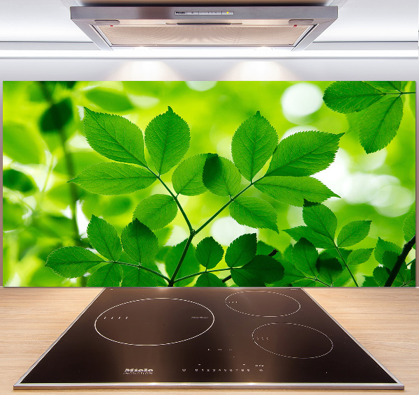 Glazen achterwand keuken Groene bladeren