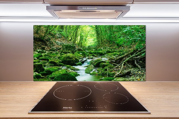 Glazen achterwand keuken Een beekje in het bos