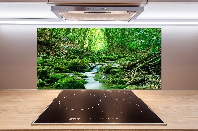 Glazen achterwand keuken Een beekje in het bos