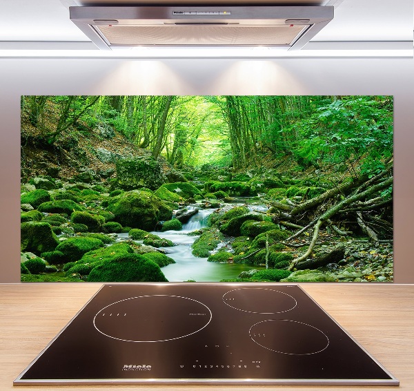 Glazen achterwand keuken Een beekje in het bos