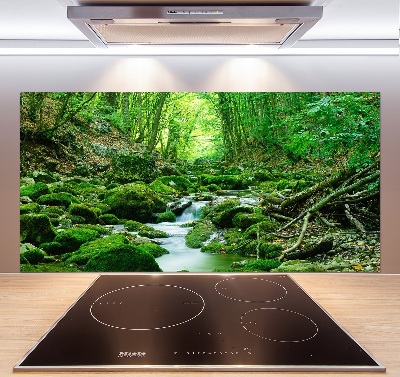 Glazen achterwand keuken Een beekje in het bos