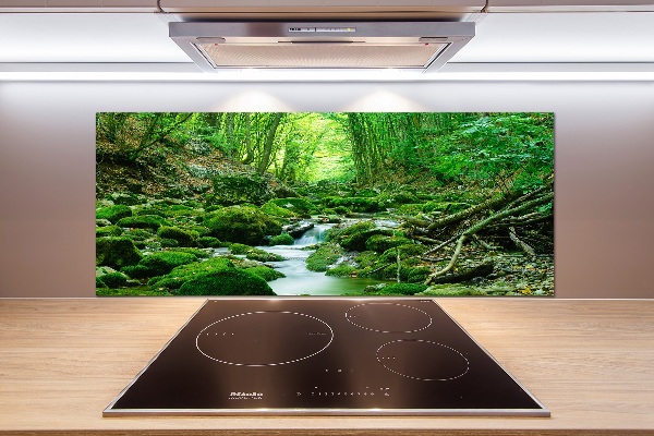 Glazen achterwand keuken Een beekje in het bos