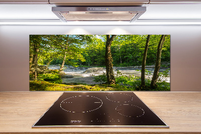 Spatscherm keuken Rivier in het bos