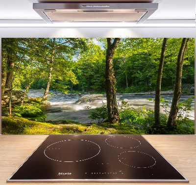 Spatscherm keuken Rivier in het bos