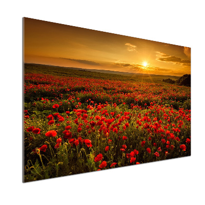 Spatplaat keuken Klaprozenveld