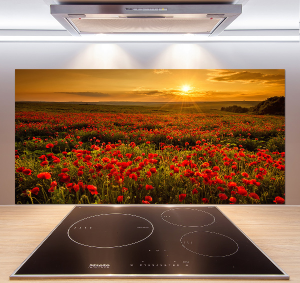 Spatplaat keuken Klaprozenveld