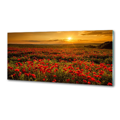 Spatplaat keuken Klaprozenveld