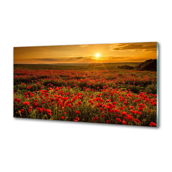 Spatplaat keuken Klaprozenveld