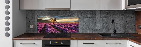 Keuken achterwand Lavendelveld