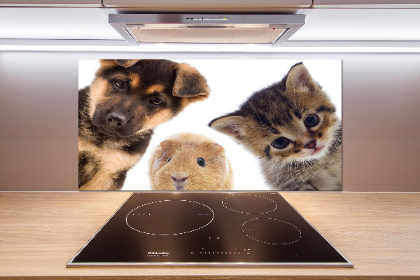 Spatscherm keuken Huisdieren