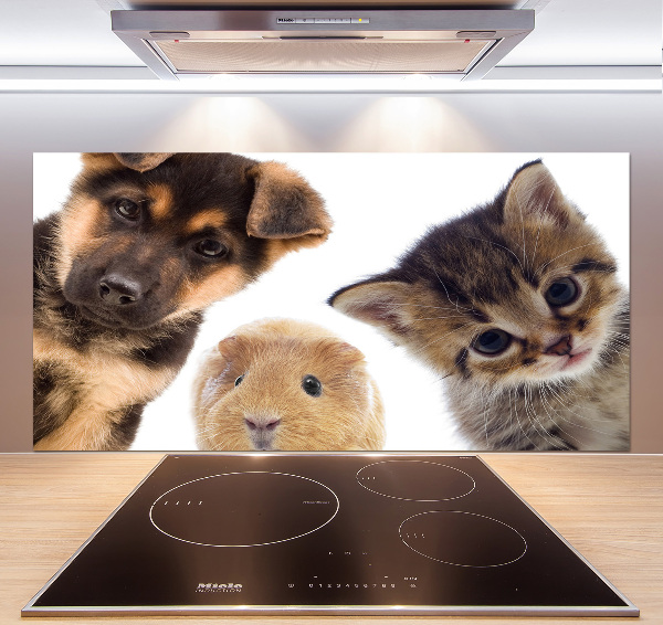 Spatscherm keuken Huisdieren