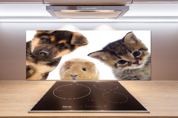 Spatscherm keuken Huisdieren