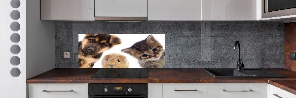 Spatscherm keuken Huisdieren