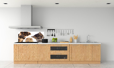 Spatscherm keuken Huisdieren