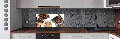 Spatscherm keuken Huisdieren