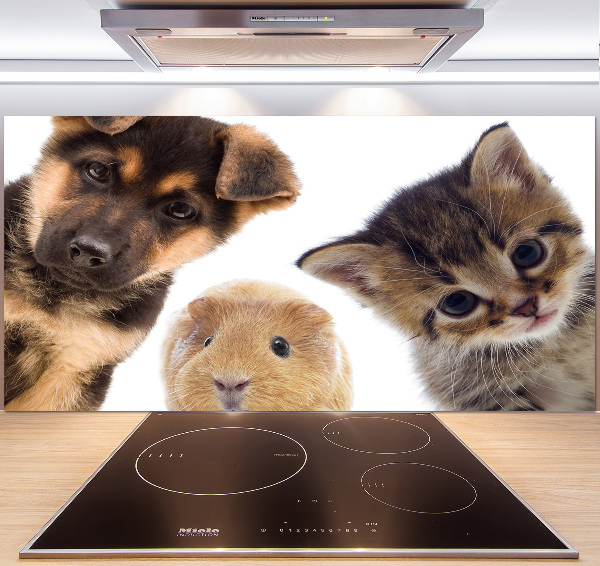 Spatscherm keuken Huisdieren