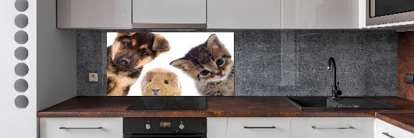 Spatscherm keuken Huisdieren