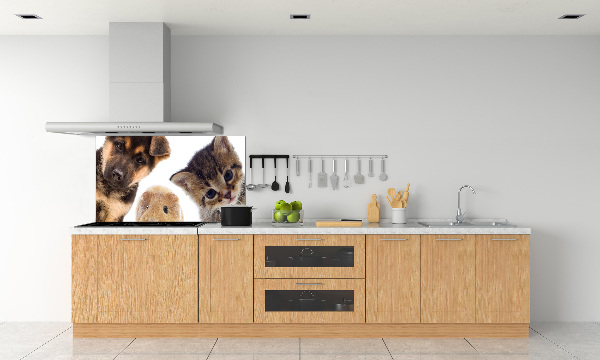 Spatscherm keuken Huisdieren