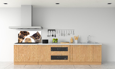 Spatscherm keuken Huisdieren