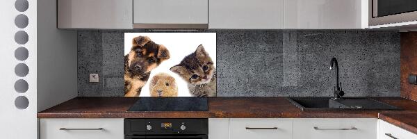 Spatscherm keuken Huisdieren