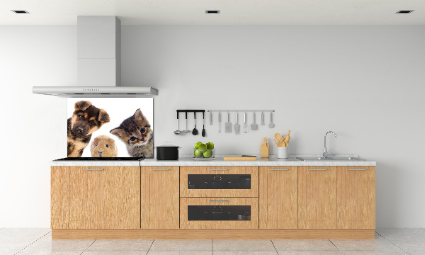Spatscherm keuken Huisdieren