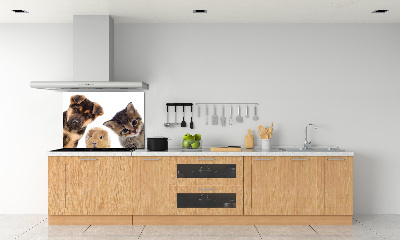Spatscherm keuken Huisdieren