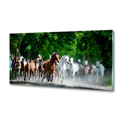 Spatplaat keuken Paarden in galop