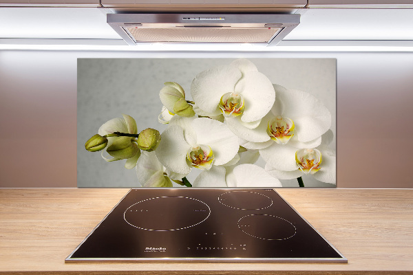 Keuken achterwand Witte orchidee