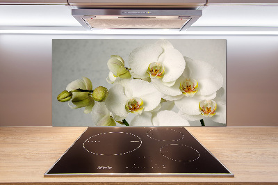 Keuken achterwand Witte orchidee