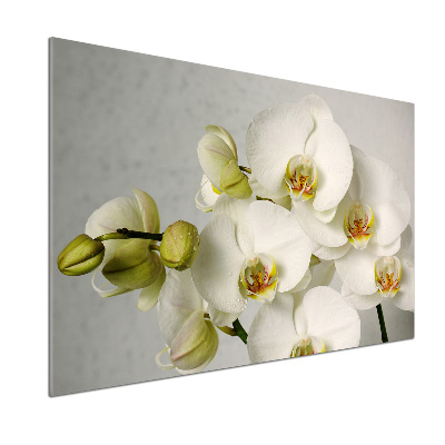 Keuken achterwand Witte orchidee