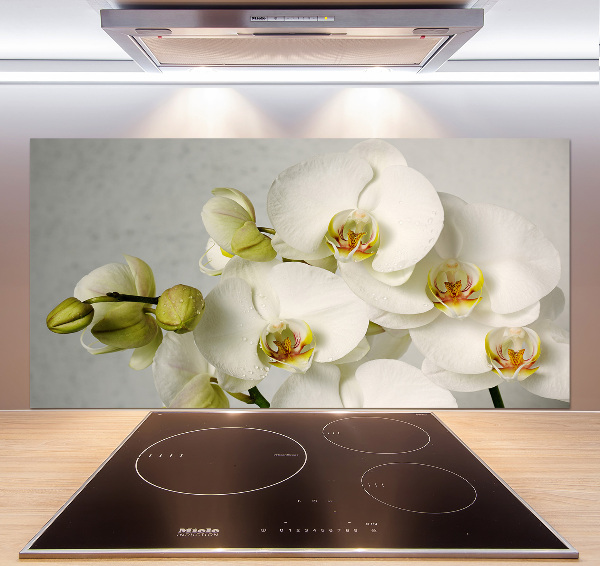 Keuken achterwand Witte orchidee