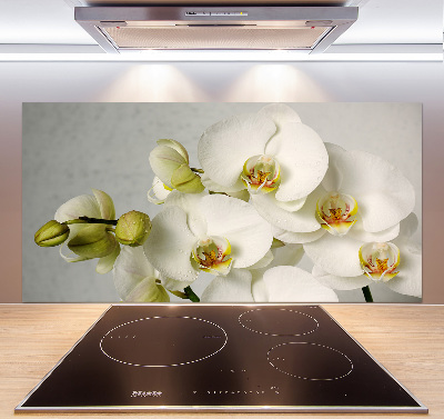 Keuken achterwand Witte orchidee
