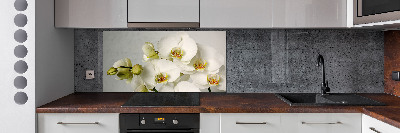 Keuken achterwand Witte orchidee