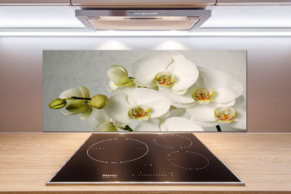 Keuken achterwand Witte orchidee
