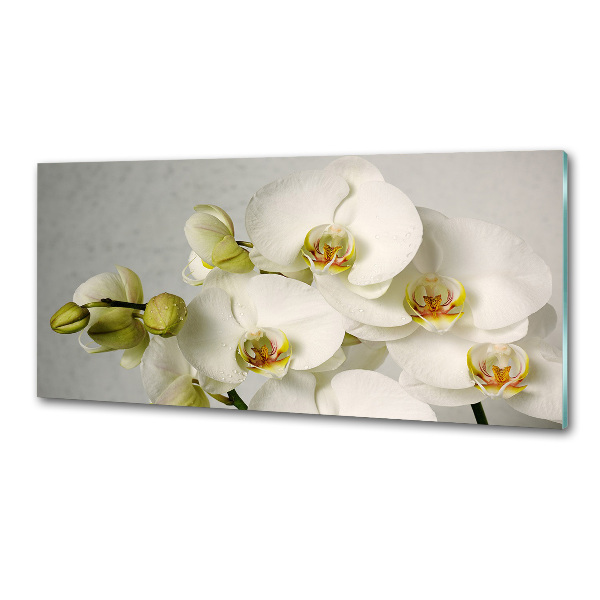 Keuken achterwand Witte orchidee