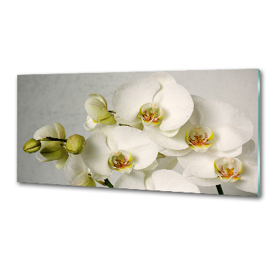 Keuken achterwand Witte orchidee