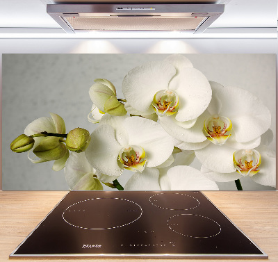 Keuken achterwand Witte orchidee