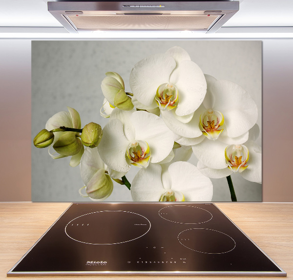 Keuken achterwand Witte orchidee