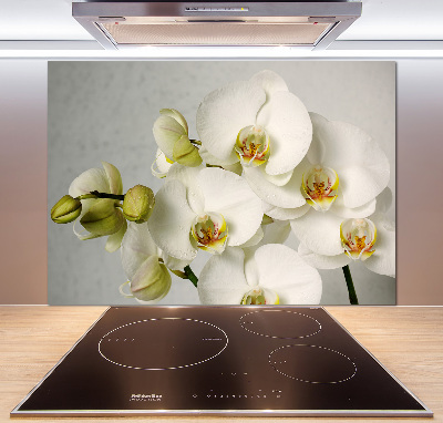Keuken achterwand Witte orchidee