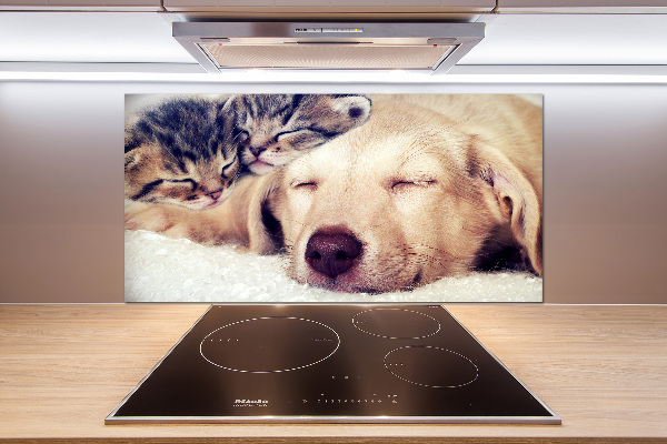 Keuken achterwand Puppy's en katten