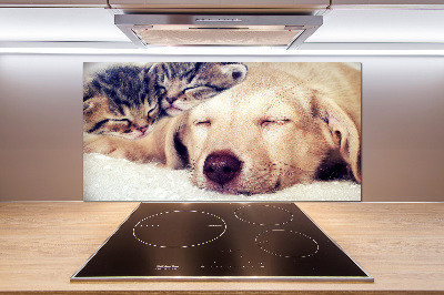 Keuken achterwand Puppy's en katten
