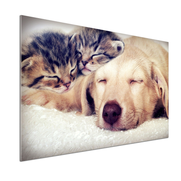 Keuken achterwand Puppy's en katten