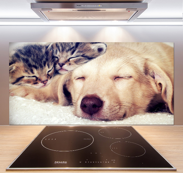 Keuken achterwand Puppy's en katten