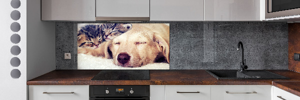 Keuken achterwand Puppy's en katten