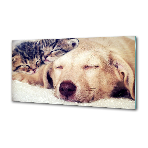 Keuken achterwand Puppy's en katten