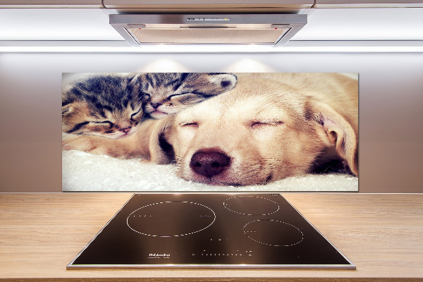 Keuken achterwand Puppy's en katten