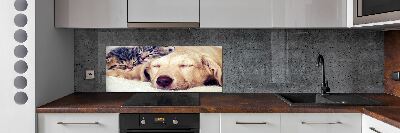 Keuken achterwand Puppy's en katten