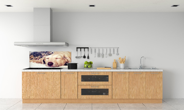 Keuken achterwand Puppy's en katten